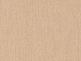 Sunbrella Cast Sand (49013-0000)